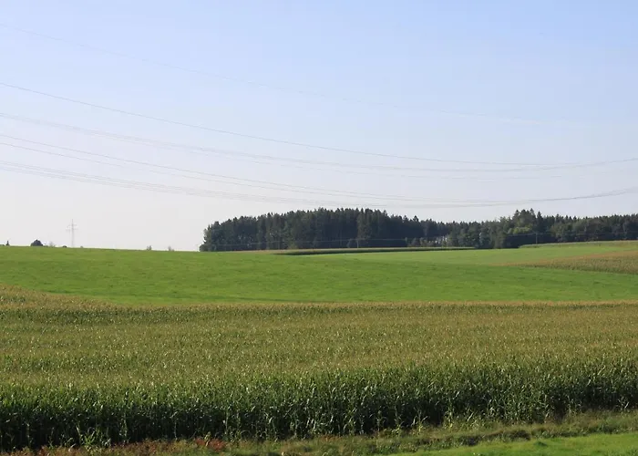 Apartamento Traubshof *