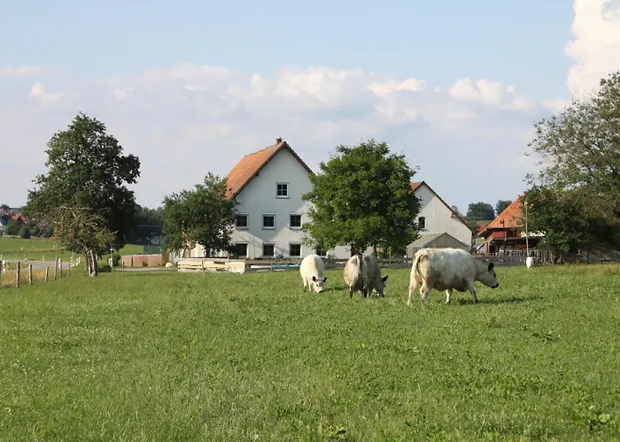 Traubshof Apartamento